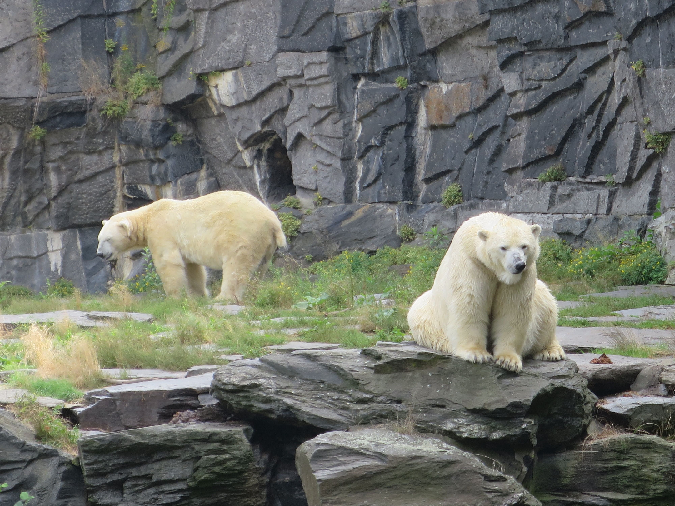 Tierpark Zoo  14